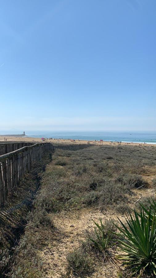 Studio Entre Lac Et Ocean A Hossegor 索尔特奥瑟戈尔 外观 照片