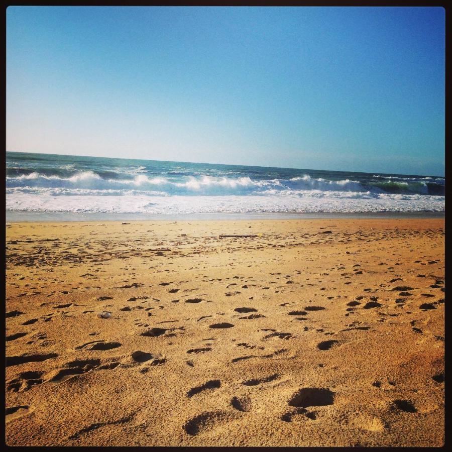 Studio Entre Lac Et Ocean A Hossegor 索尔特奥瑟戈尔 外观 照片